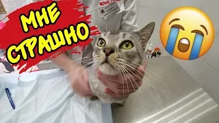 ОПЕРАЦИЯ КОТЁНКУ СЛАДУНУ! БИЛ ВСТРЕЧАЕТ ИЗ БОЛЬНИЦЫ!