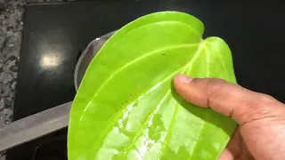 Cough & cold relief Vetrilai kashayam | Betel leaves for cough remedy in Tamil | #healthtips