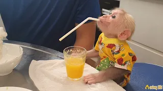 Dad made pineapple juice for Monkey BiBi after recovering from sick