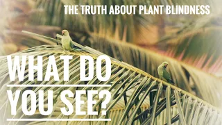 WHAT IS PLANT BLINDNESS? WHY DOES IT MATTER? HOW DEADLY CAN IT BE? | Gardening in Canada 👻☠️