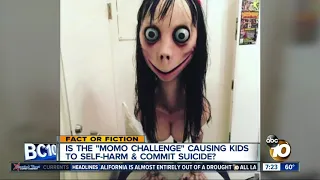 Is the "Momo Challenge" real?