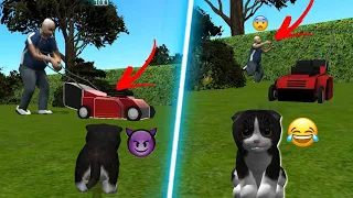 VIREI UM GATO E DESTRUIR TUDO😺😂CAT SIMULATOR, joguinho do gato maluco, jogo de simulação de gato