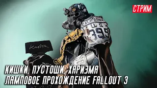 КИШКИ, ПУСТОШИ, ХАРИЗМА | Ламповое прохождение Fallout 3 | Стрим №4