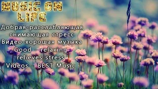 Музыка души | Инструментальная | Весна 1 | Best music | Music video | instrumental | Spring 1