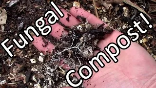 Free Fungally Dominated Compost & Mulch