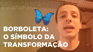 O SIGNIFICADO DA BORBOLETA - ARQUÉTIPOS E SÍMBOLOS