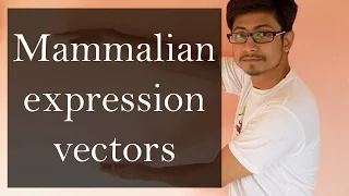 Mammalian expression vector