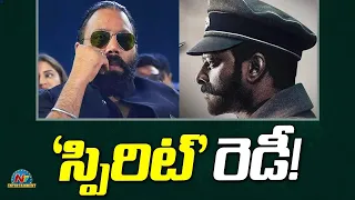 Prabhas's Spirit Update..! | Sandeep Reddy Vanga | NTV ENT