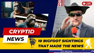 10 Penampakan Bigfoot Yang Menjadi Berita