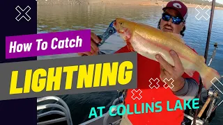 Collins Lake Report: How To Catch Trophy Lightning Trout!