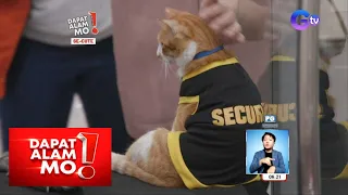 Security guard na pusa sa Mandaluyong City, kilalanin! | Dapat Alam Mo!