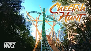 CHEETAH HUNT - Busch Gardens Tampa - On-Ride & POV - 2023 - 4k