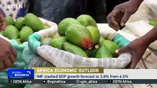 IMF slashes Sub-Saharan GDP growth forecast to 3.8% from 4.5%