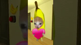 Bananacat Chooses Food #gmod 😸🍌