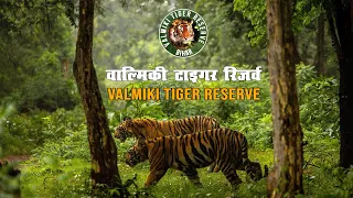 Valmiki Tiger Reserve || वाल्मिकी टाइगर रिज़र्व || Valmiki Wildlife Sanctuary