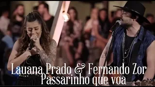 Lauana Prado & Fernando Zor - Passarinho que voa (Letra)