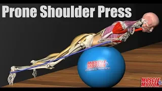 Prone Shoulder Press | Anatomical Analysis