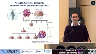 Context is everything: Aneuploidy in cancer