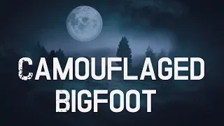 Bigfoot Encounter - Can Bigfoot Camouflage Himself?