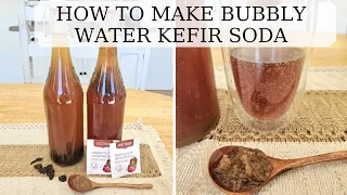 How to make water kefir soda