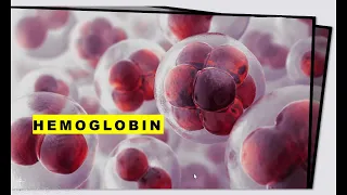 Haemoglobin | Dr Nageeb Hussieny