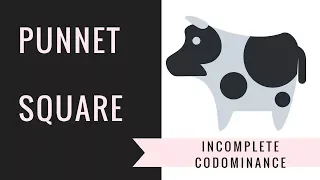 Incomplete Dominance and Codominance Punnett Squares   ( Setting up,Solving)