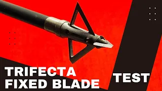 TRIFECTA FIXED BLADE Broadhead Test (trifectabroadheads.com)