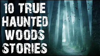 10 TRUE Disturbing Haunted Woods Horror Stories | (Scary Stories)