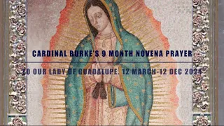 Cardinal Burke’s 9 Month Novena to Our Lady of Guadalupe