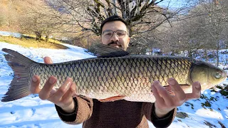 I COOKED THE BIG GRASS CARP ON THE COALS | DIFFERENT RECIPE FOR GRASS CARP