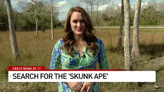 The legend of skunk ape creeps up the East Coast