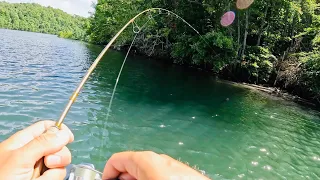 Ultralight Fishing For Anything That Bites | Bluegill, Crappie, and Bass