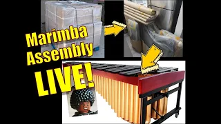 Marimba Assembly LIVE
