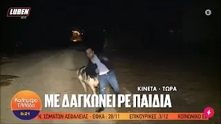 Γουρούνι την πέφτει live σε ρεπόρτερ του ΑΝΤ1 και τον δαγκώνει | Luben TV