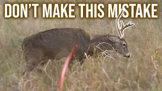 How To Aim on Whitetail Deer w/ the Bow! (The secret to quick, clean kills)