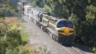 C501 "George Brown" & X31 lead SCT Intermodal 5MP9 - 9 February 2024