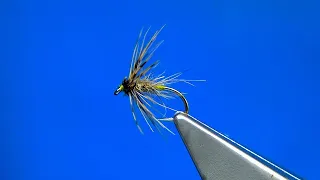 Tying a Grannom/Caddis Soft Hackle by Davie McPhail