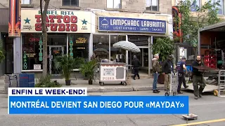 Des palmiers sur la rue Sainte-Catherine à Montréal - Explications