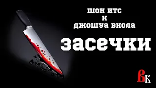 Шон Итс и Джошуа Виола "Засечки". Читает Владимир Князев. Сплаттер