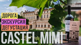 Куда поехать в Молдове #2 Castel MIMI (Замок МИМИ) Дорога | Экскурсия | Дегустация