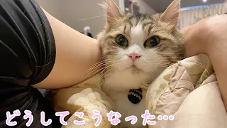 休日の朝なのに寝ている主を愛猫に起こしに行ってもらうと…！