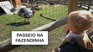 VLOG Passeio na Fazendinha em Londres com a Alice