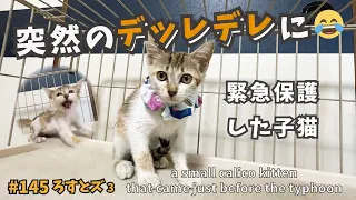 3 キレ猫がちゅ〜るでデレ猫に【ろすとズ・台風直前に子猫保護】