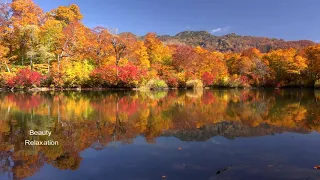 Чарующие краски осени -  Enchanting colors of autumn (Расслабляющая, успокаивающая музыка)