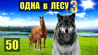 ВОЛК ОПОВЕСТИЛ об ОПАСНОСТИ ЛОШАДИ ВУЛКАН в ПЕЩЕРЕ - ОДНА В ЛЕСУ СУДЬБА ЖИВОТНЫЕ СЕРИАЛ 50