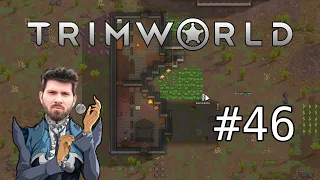 (T)RimWorld #46 mit Matteo