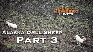 2018 Alaska Dall Sheep with Randy Newberg (Part 3 of 9)