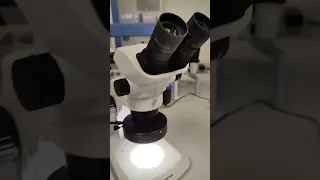 Подсветка на микроскопе OLYMPUS SZ51
