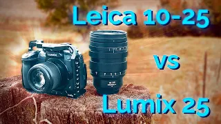 Leica 10-25 vs Lumix 25 f1.7 | Lens Battle Are Primes better than Zooms?