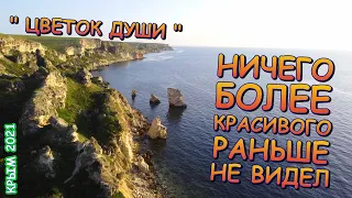Что может быть лучше Джангуля, только он сам Цветок Души Западный Берег Крыма Джангуль Тарханкут